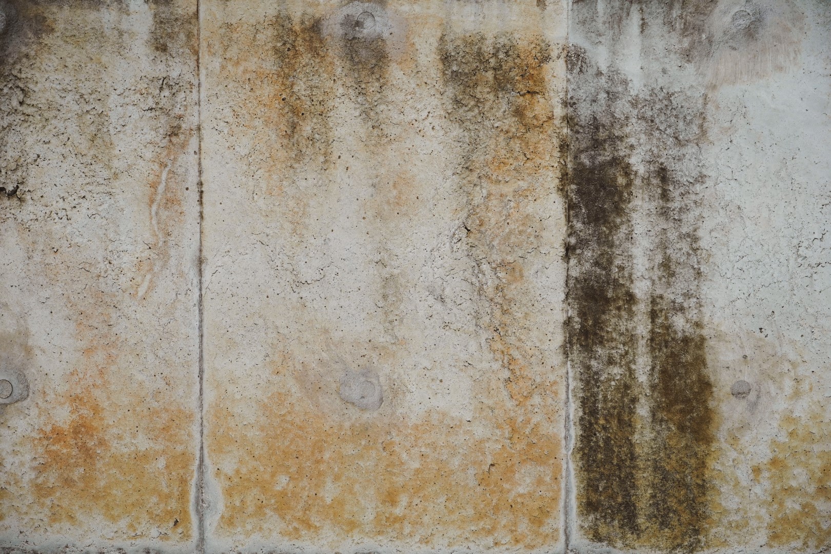 grunge of old concrete wall for abstract backgroun 2023 11 27 04 55 16 utc Large